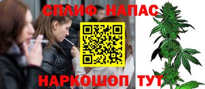 сатива Краснодар