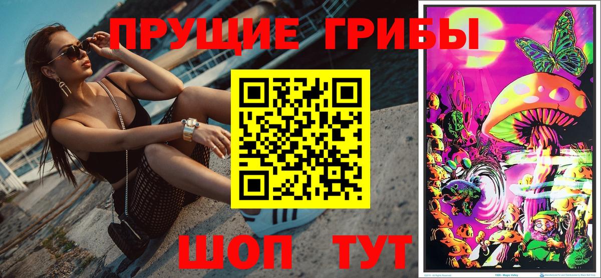 Кировск  Псилоцибиновые грибы GOLDEN TEACHER  Вход с VPN  Галлюциногенные грибы GOLDEN TEACHER 