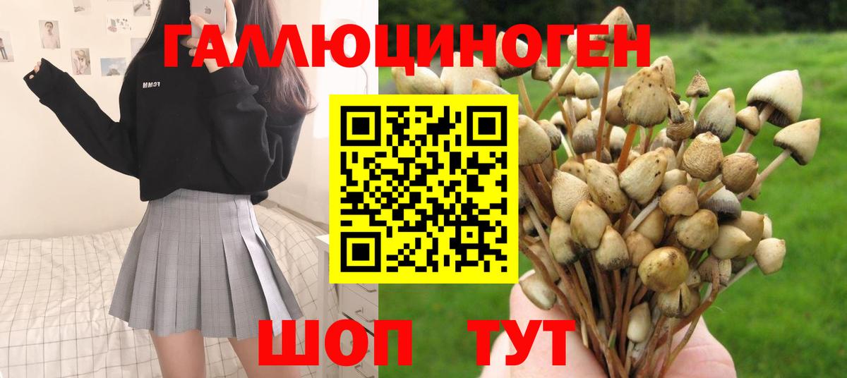 Галлюциногенные грибы мицелий Кировск